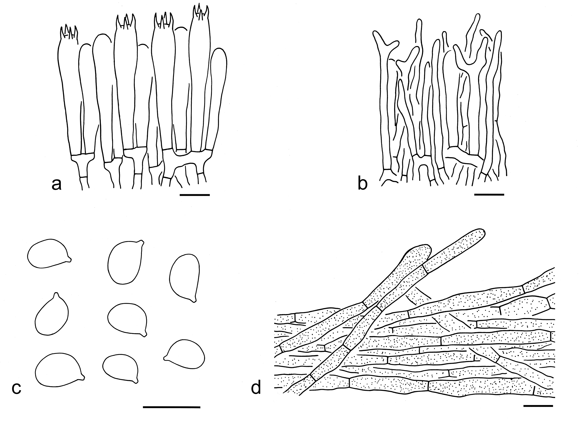 Figure 63